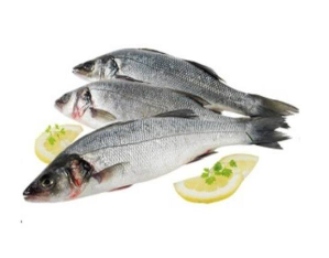 Pescado de mar 5lbs Aguja